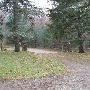 Bald Mountain State Park