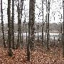 Bald Mountain State Park