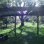 Michigan State University Scenics
