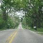 Willow Country Road