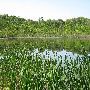 Bald Mountain State Park