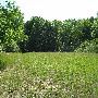 Bald Mountain State Park