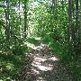 Bald Mountain State Park