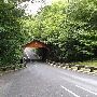 Pierce Stocking Scenic Drive