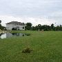 City House in the Country