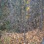 Presque Isle County Scenics