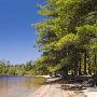 Deer Lake Roadside Park