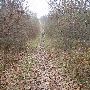 Hogbacks Area Park