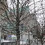 Campus Martius Park
