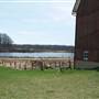Neil's Ann Arbor Farm