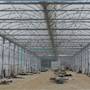 Telley's Greenhouse
