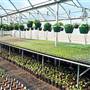 Red Barn Greenhouse
