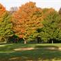 Gull Lake View Golf Club & Resort