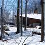 The Bruno Leon's glass house in the woods