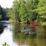 Northland Outfitters