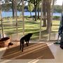 Gull Lake Island