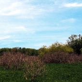 Sarett Nature Center