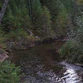 AuSable & Manistee Rivers in Grayling