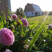 Roehl Farm