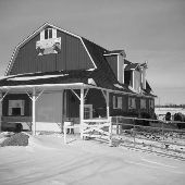 Brown City Farm