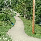 Fremont paths and roads