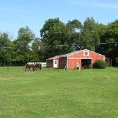 Frank's Whitmore Lake Horse Farm