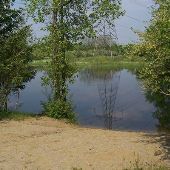 Wayner Pond