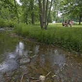 Bellamy Creek Roadside Park