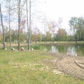Magoo's 100 acres