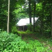 organic cabin + surrounding 6 acres