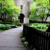 The Detroit Waldorf School