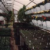 Merkel Garden Greenhouses