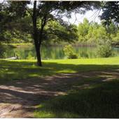 Bad Axe Wooded Acres