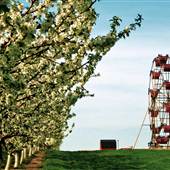 Jollay Orchards