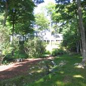 Tall Timbers-#3