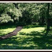 Woodland Park and Nature Preserve