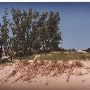 Warren Dunes State Park