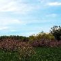 Sarett Nature Center