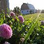 Roehl Farm