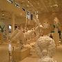 Marshall M. Frederick Sculpture Museum