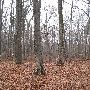 Bald Mountain State Park
