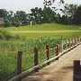 Hankerd Hills Golf course