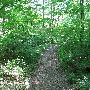 Bald Mountain State Park