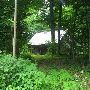organic cabin + surrounding 6 acres
