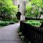 The Detroit Waldorf School