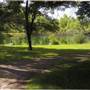 Bad Axe Wooded Acres