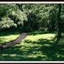 Woodland Park and Nature Preserve