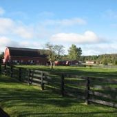 Red House Farm