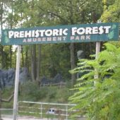 Prehistoric Forest