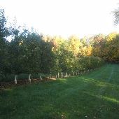 Hart Farm